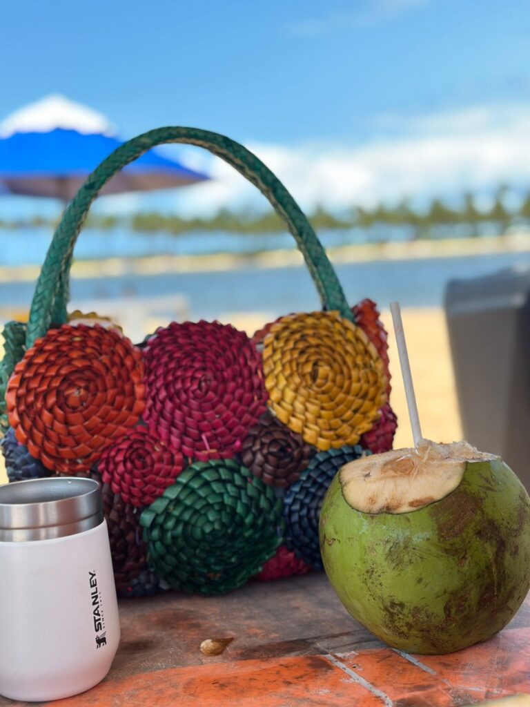 Modelo com Bolsa Haggan
